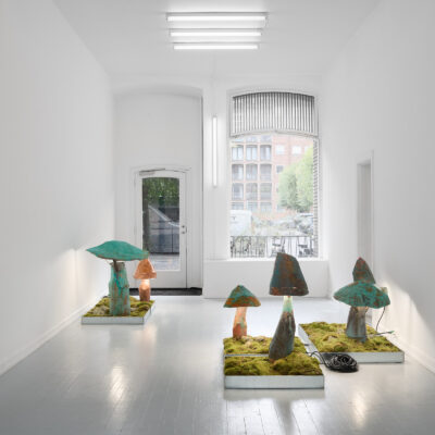 Gallery_Instagram_Credit_Robert_Damisch_03