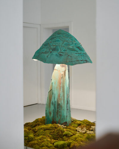 Gallery_Instagram_Credit_Robert_Damisch_07