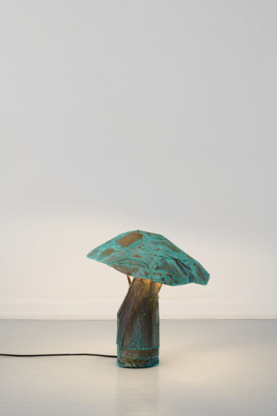 Karl_Mushrooms_Credit_Robert_Damisch_08