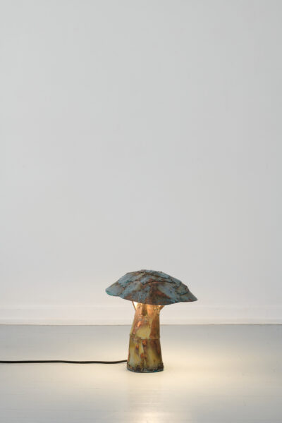 Karl_Mushrooms_Credit_Robert_Damisch_12