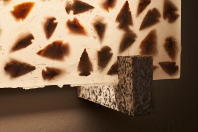 ba2b28cd-250e-475f-bf03-4b39e21aee15