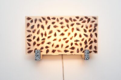 d3607b9b-d2cf-4aee-ba1b-1e86679d71e1